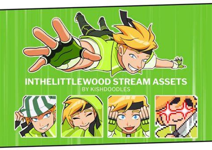 InTheLittleWood statistiques vidéo