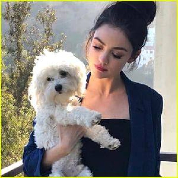 Lucy Hale Pets